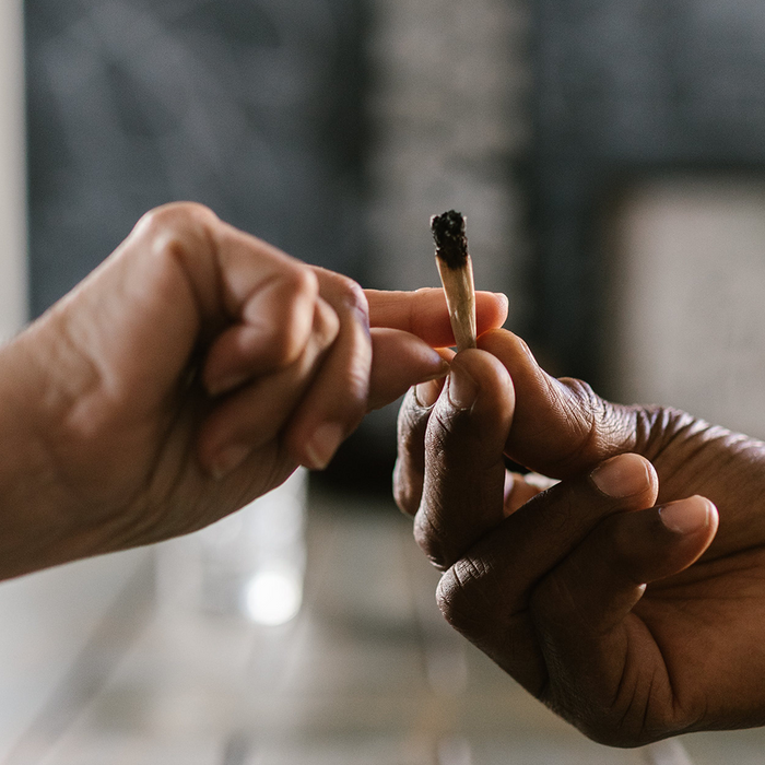 Elevate Your Year: Cannabis Accessories Trends for 2024