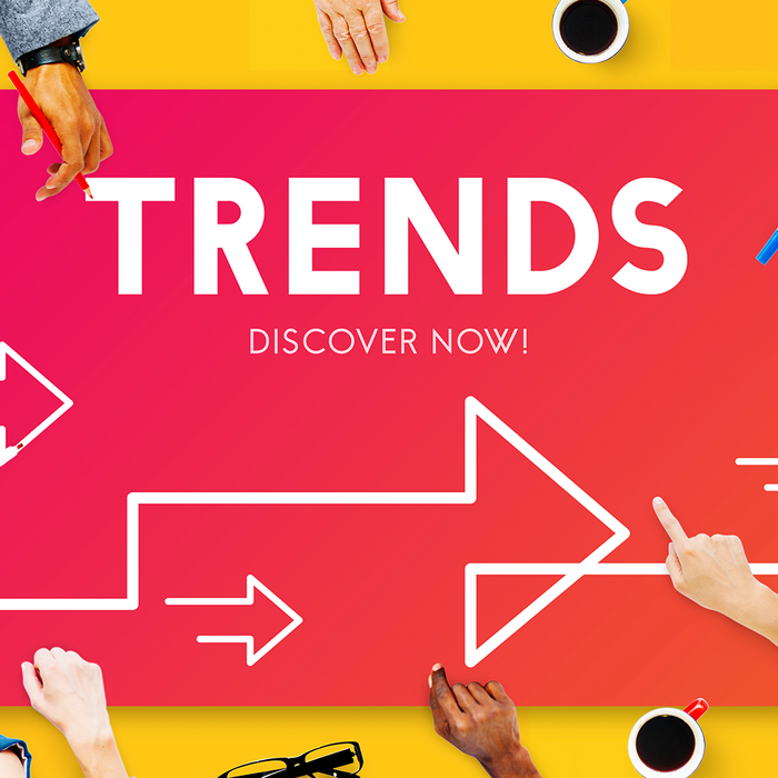 Unlocking the Vault: Unveiling Our Top Picks of the Season!