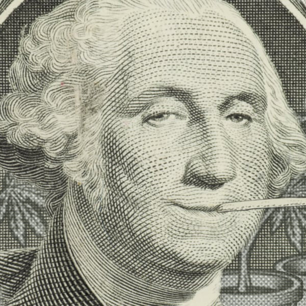 George Washington Grew Cannabis
