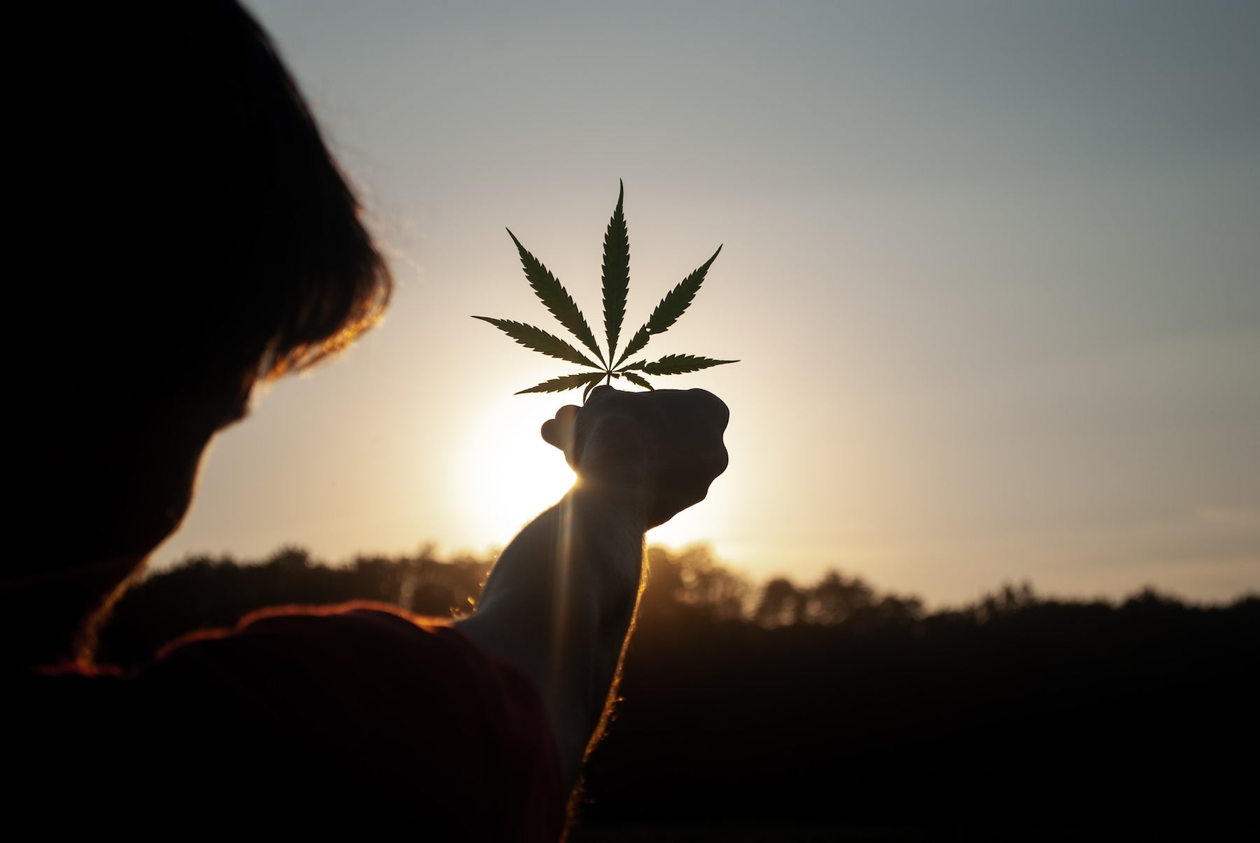 Embracing Nature: Celebrating Cannabis Culture at the End of May
