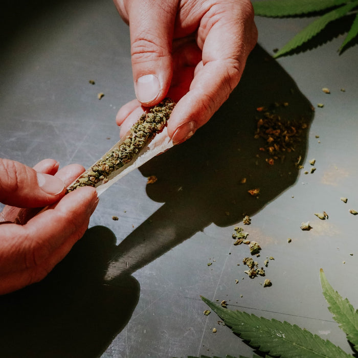 Joint 101: A Beginner’s Guide to Rolling A Joint