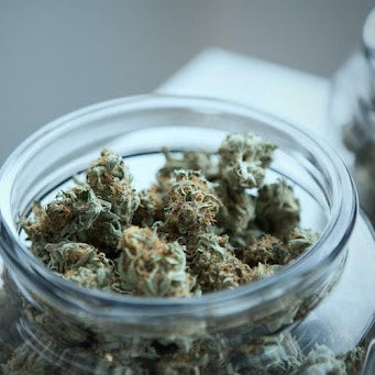 Cannabis on a herb grinder
