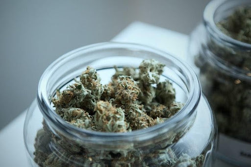 Cannabis on a herb grinder