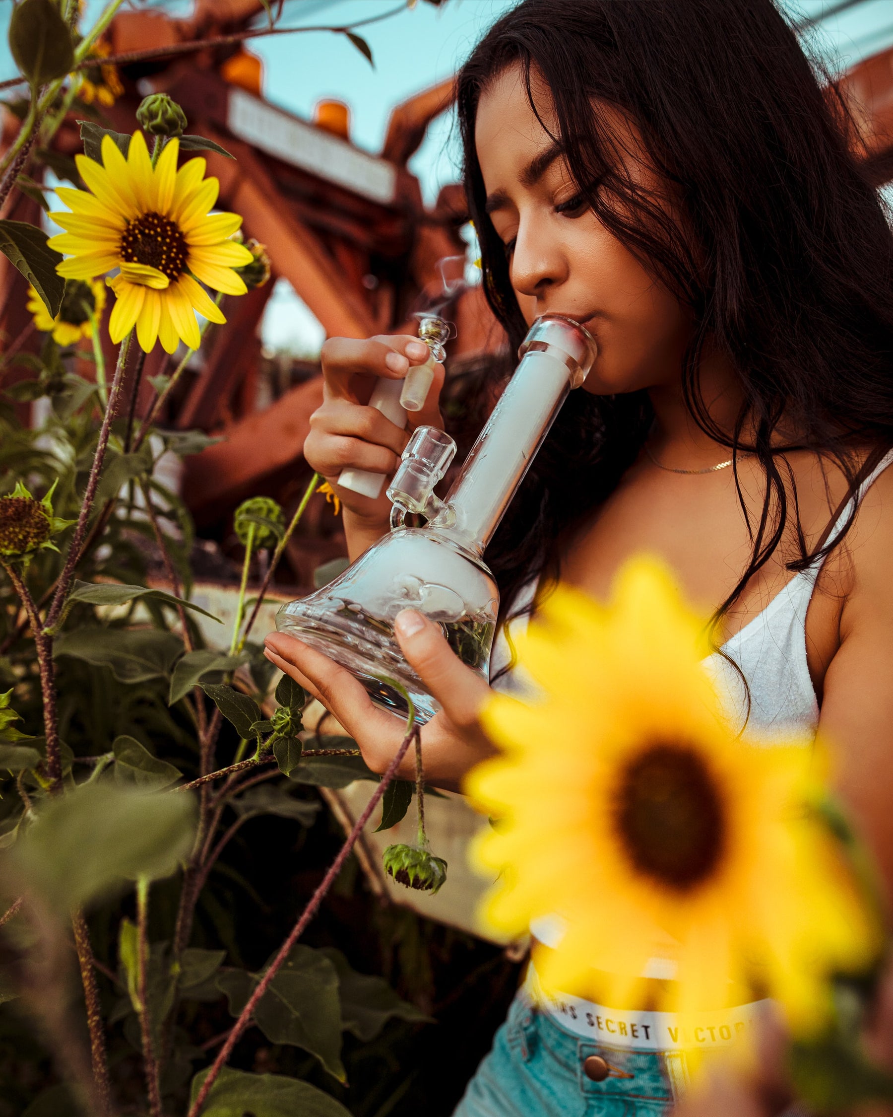 How to Choose the Right Bong for Yourself