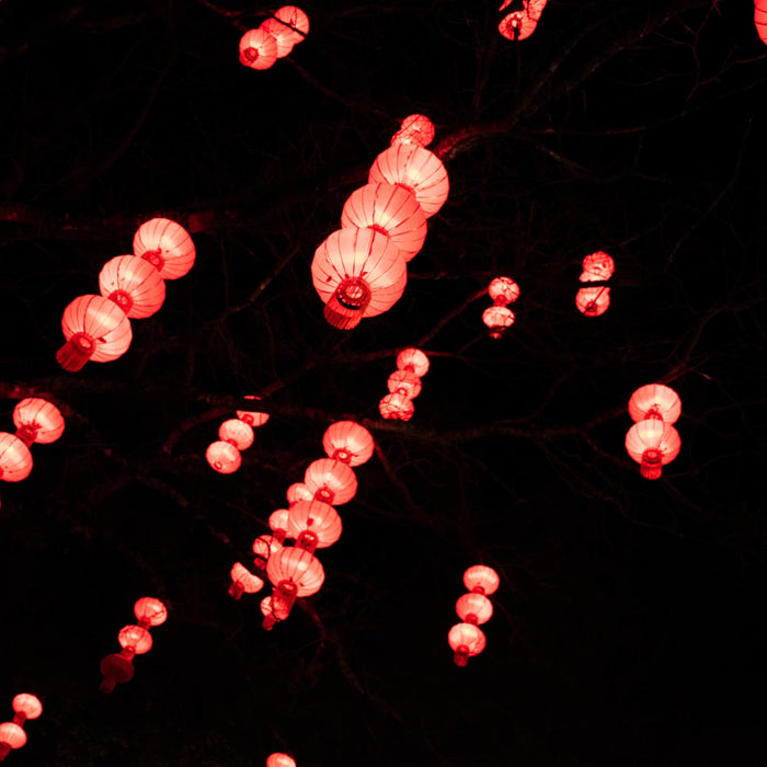 How to Enhance Your Smoking Experience in Chinese New Year