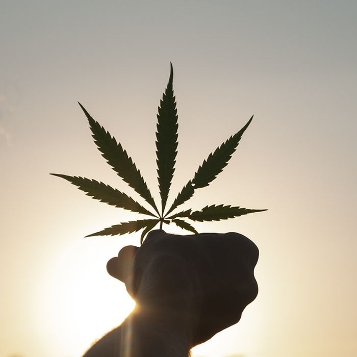 Tips to Store Your Stash for Travel