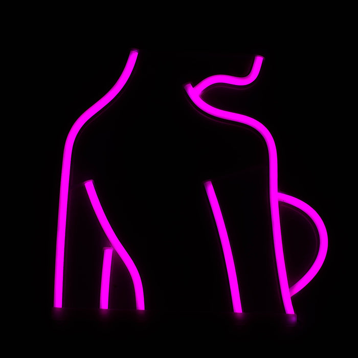 LED Neon Decoration Signs - Sexy Collections Flag · Sign JJ Distribution Lady Back (10" x 10")