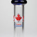 7" Zoom Glass Bong with Bowl [AK050] Glass Bong Canadian Distributor Design A