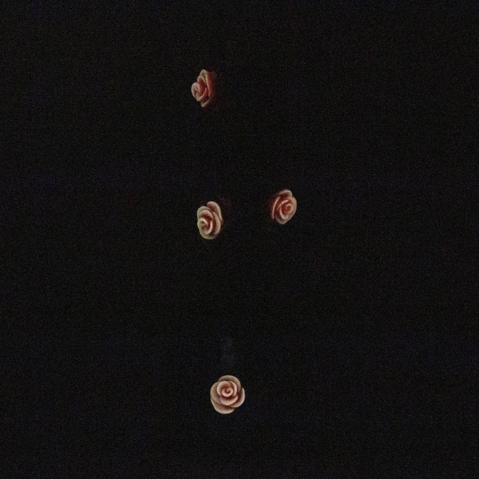 13" Resin 3D Octo-Skull glass beaker [DY526] Resin · Silicone · Plastic Bong DY Glass