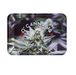 Raw | Rolling Tray MINl Size Tray NIBO Distribution O'CANNABIS