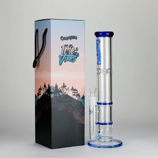 Ganjavibes | Honeycomb 14 Inches Two Disk Percolator Glass Bong By Irie Vibes Series Glass Bong Maple Craft Inc