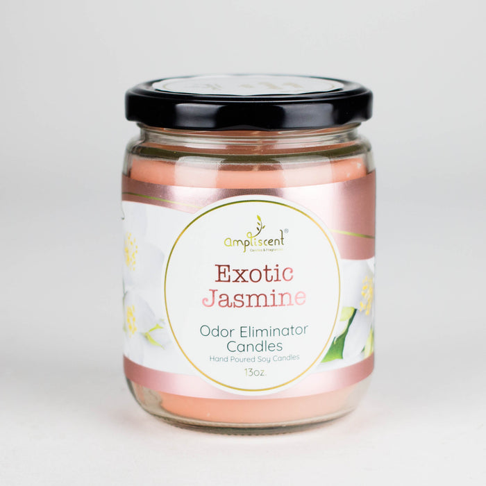 Ampliscent | Candles Odor Eliminator – 13oz Candle Canadian Distributor Exotic Jasmine
