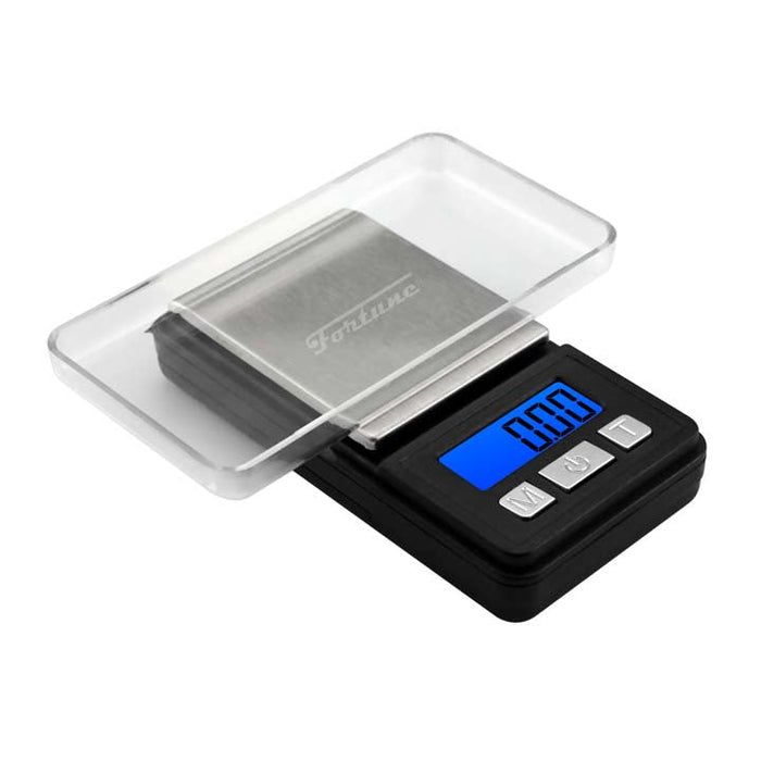 Fortune | 200g*0.01 Scale SS-200 Scale Fortune