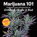 Marijuana 101 Book Green Candy Press