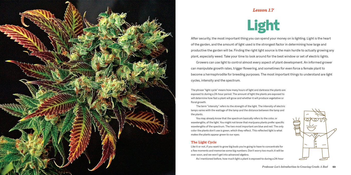 Marijuana 101 Book Green Candy Press