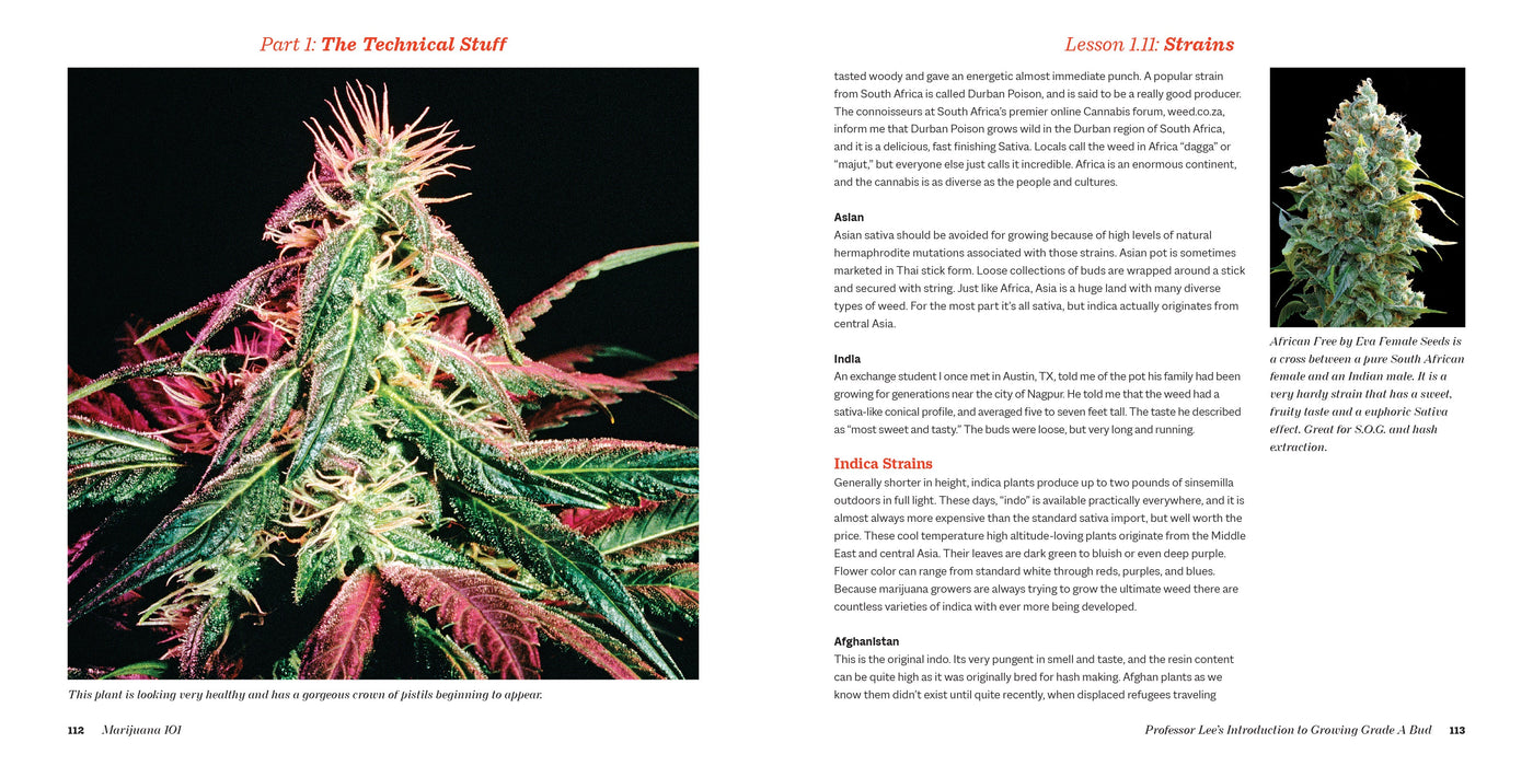 Marijuana 101 Book Green Candy Press
