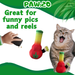 Lil Bo da Bong- Parody Plush Rasta Color Catnip Cat Toy - 5" For Pet PAW:20