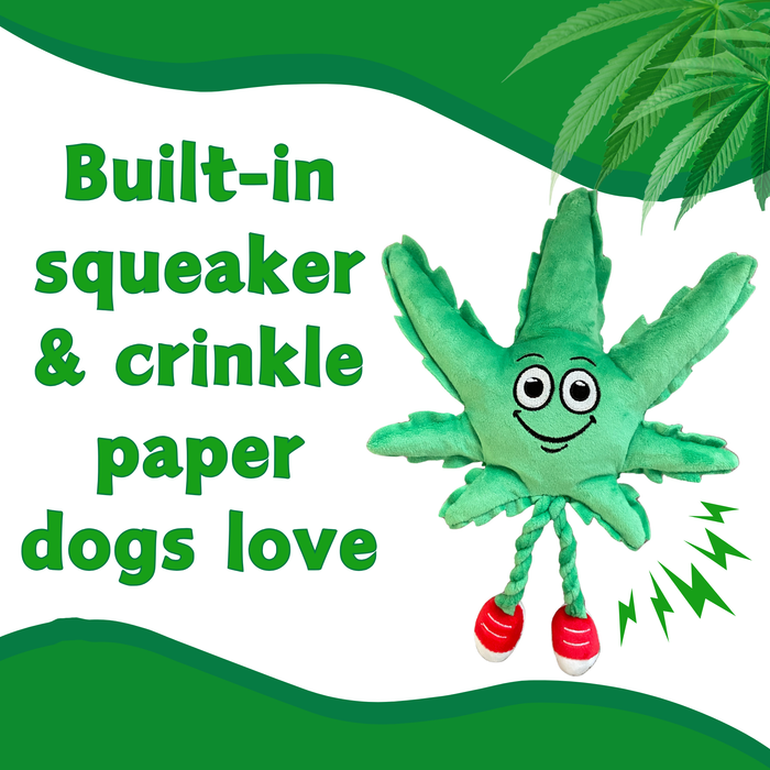 MJ the Marijuana Leaf - Squeaky Dog Toy - Shelf-Sitter Plushie - 13" For Pet PAW:20