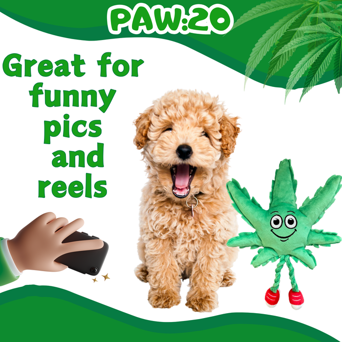 MJ the Marijuana Leaf - Squeaky Dog Toy - Shelf-Sitter Plushie - 13" For Pet PAW:20