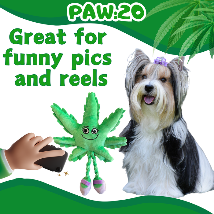 Mary Jane the Marijuana Leaf - Squeaky Dog Toy & Shelf-Sitter Plushie - 13" For Pet PAW:20
