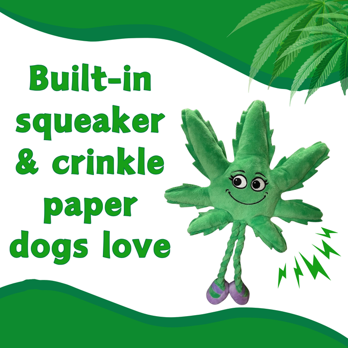 Mary Jane the Marijuana Leaf - Squeaky Dog Toy & Shelf-Sitter Plushie - 13" For Pet PAW:20