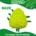 Bud the Weed Nug - Parody Plush Squeaky Dog Toy - 6" For Pet PAW:20