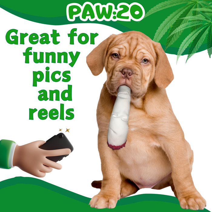Jay the Joint - Parody Squeaky Dog Toy - 7" For Pet PAW:20