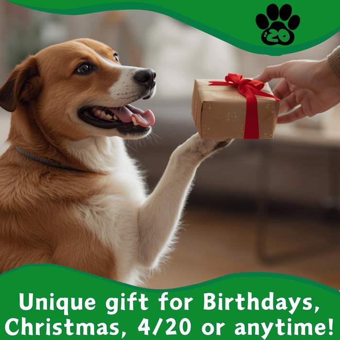 Jay the Joint - Parody Squeaky Dog Toy - 7" For Pet PAW:20