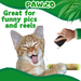 Lil' B the Blunt - Stuffed Parody Catnip Cat Toy - 5" For Pet PAW20