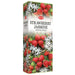 HEM | Hexa Incense Sticks – 6 Tubes / Box Incense SunGlow Strawberry Jasmine