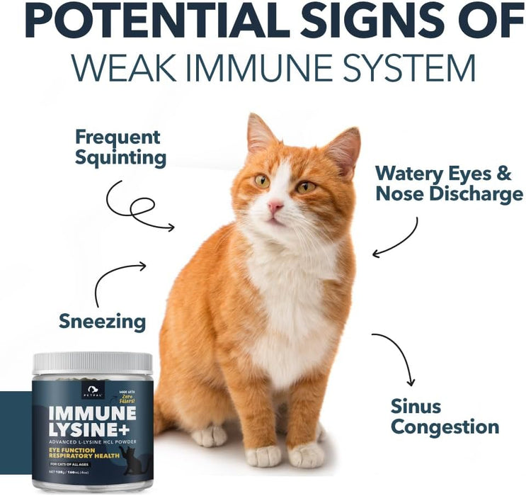 L-Lysine Powder for Cats - 8oz. by Now Pets | Vista Natural Wellness Center L-Lysine Powder for Cats - 8oz. by Now Pets | Vista Natural Wellness Center