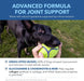 PetPal | Hip & Joint Mobility - soft Chews with Chondroitin & MSM For Pet Neo Wholesale Co.