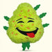 Bud Jr. the Weed Nug | 420 Cat Toy & Collectible Plush For Pet PAW20 Default Title