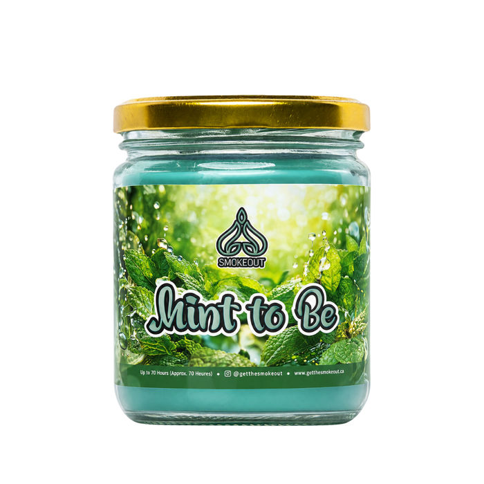 SMOKE OUT odour eliminating candle 13 oz. Candle 420 Paradise BLUEBERRY DELIGHT