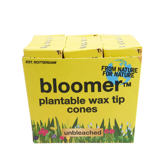 bloomer™ 1-1/4 paper cones - unbleached Box of 21 Pre-rolled Cone (Display Pack) bloomer