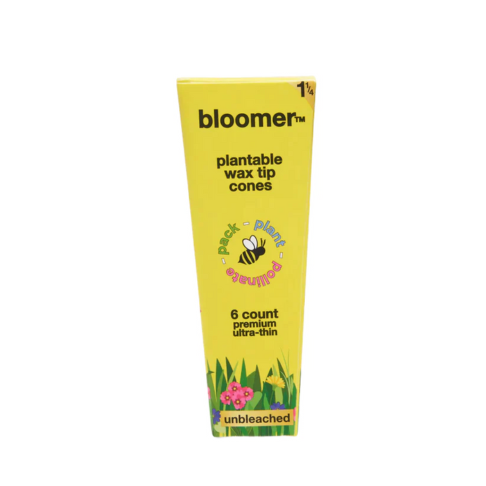 bloomer™ 1-1/4 paper cones - unbleached Box of 21 Pre-rolled Cone (Display Pack) bloomer