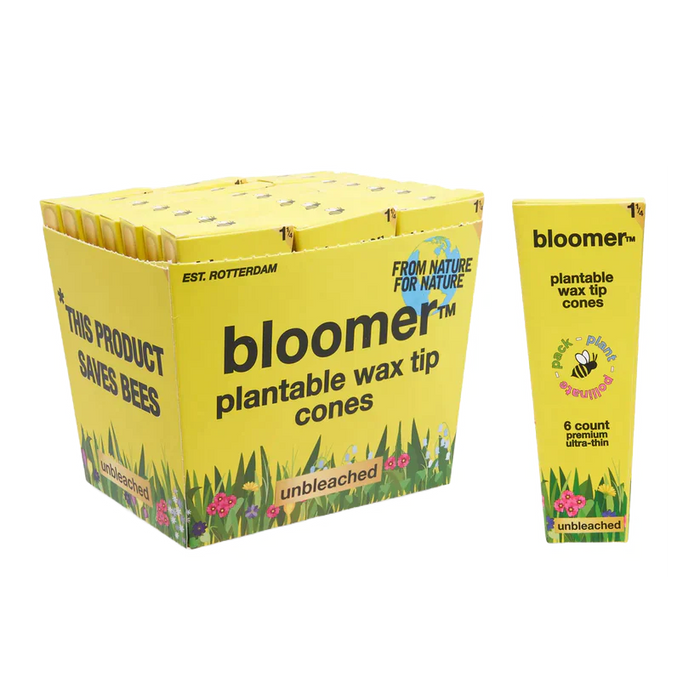 bloomer™ 1-1/4 paper cones - unbleached Box of 21 Pre-rolled Cone (Display Pack) bloomer