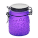 Spider Web Design Glass Storage Jar – Purple-Multiple Sizes Available [SMKZ-139] Jar Canadian Distributor 150 ml