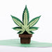 Intricate Greetings | Cannabis Leaf 3D pop-up Cards-Birthday Holiday · Anniversary Intricate Greetings