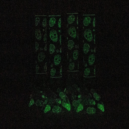 18" Skull Glow in the dark 7 mm glass water bong Beaker Bong ONE