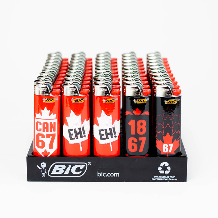 Bic Regular Lighter [CANADA]