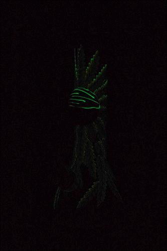 13" Glow in the dark artwork 7 mm glass bong- - One Wholesale
