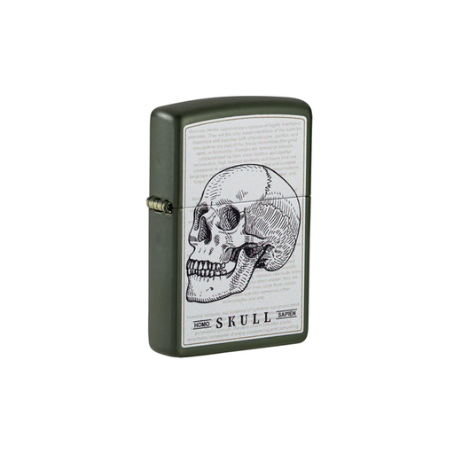 Zippo 49602 Skull Design Zippo Lighter ONE