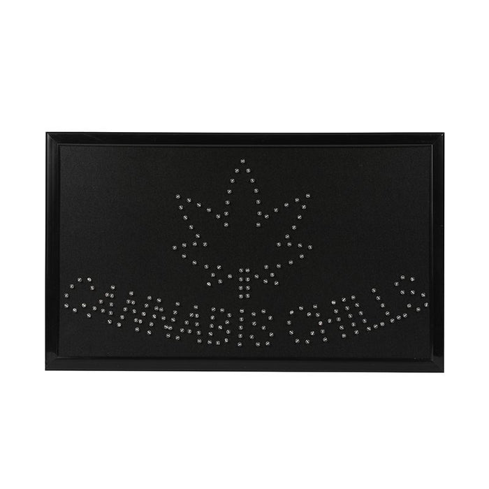 LED Light Wall Mount Sign - 21" x 13"